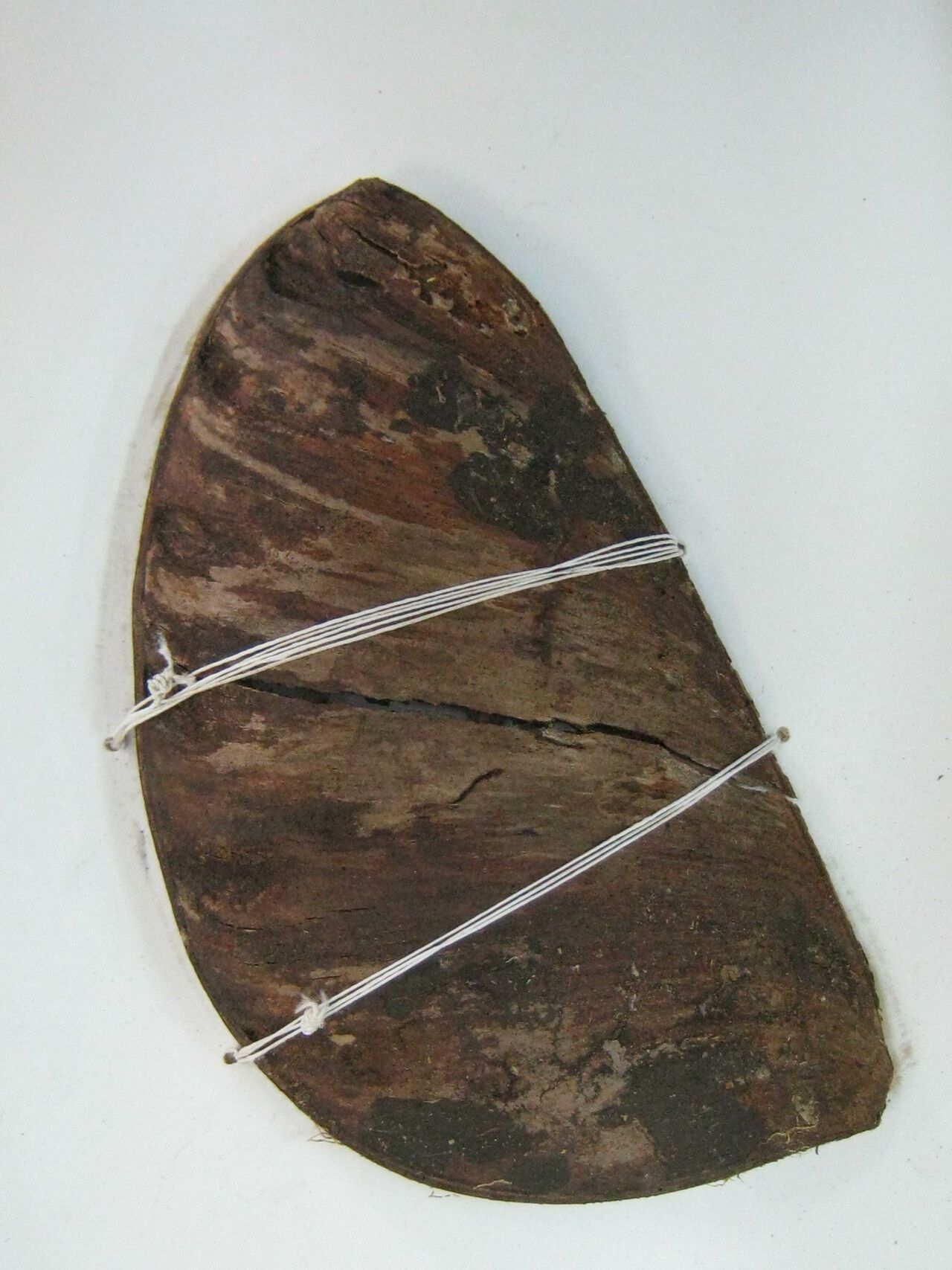 Dimorphandra macrostachya — houseplant care guide