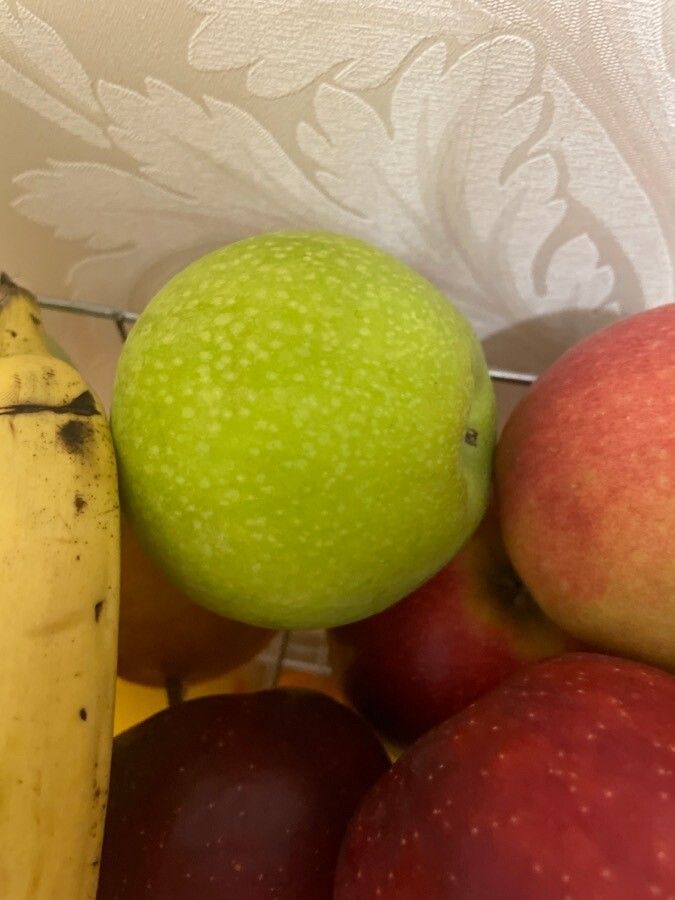 Malus × arnoldiana — search result for 'Malus'