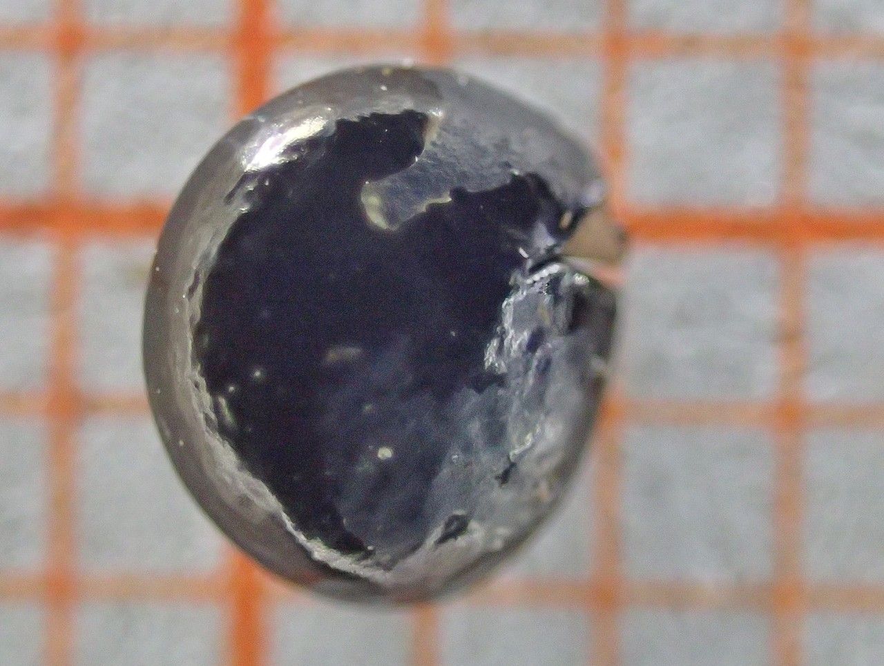 Phytolacca esculenta fruit