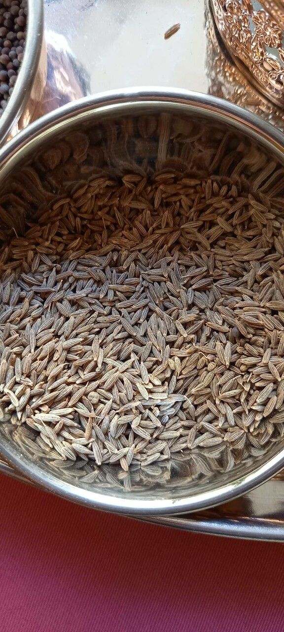 Cuminum cyminum fruit