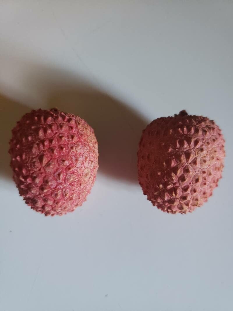 Litchi chinensis fruit