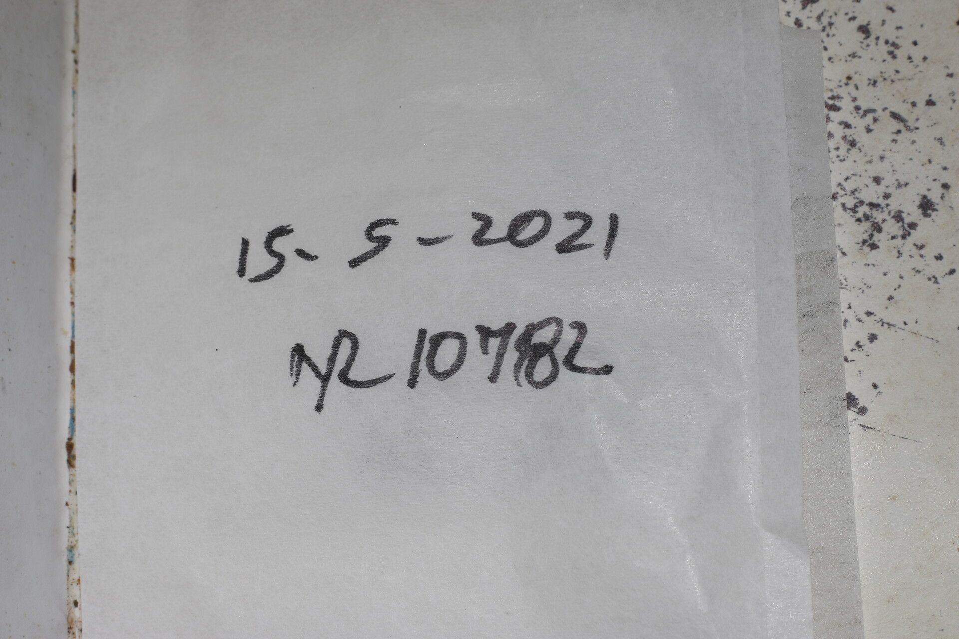 Lonchocarpus peninsularis other