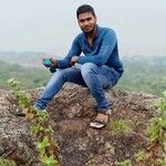 Eragrostis variabilis