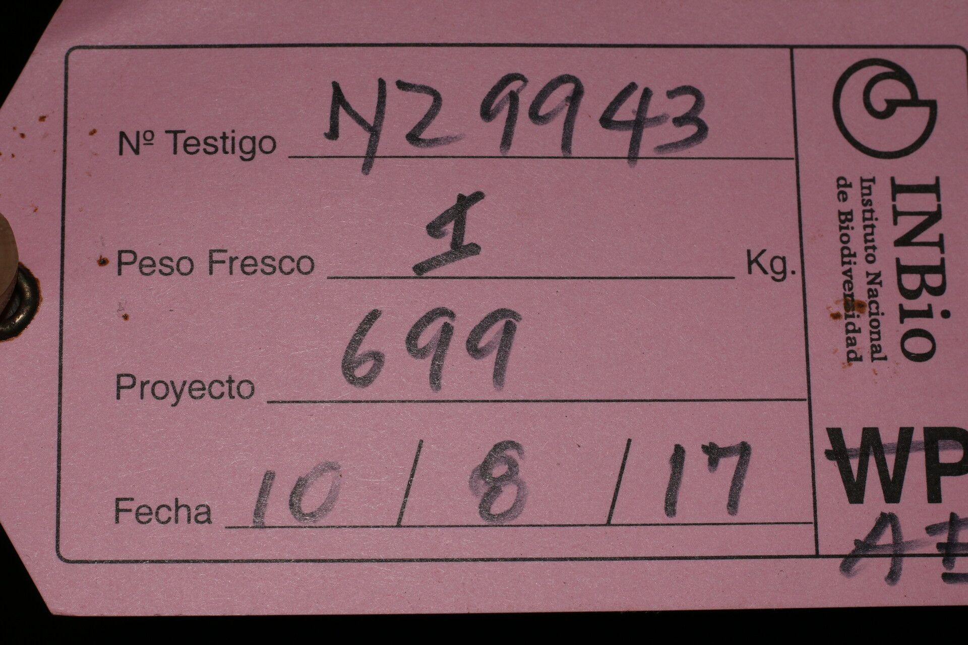 Colubrina triflora other