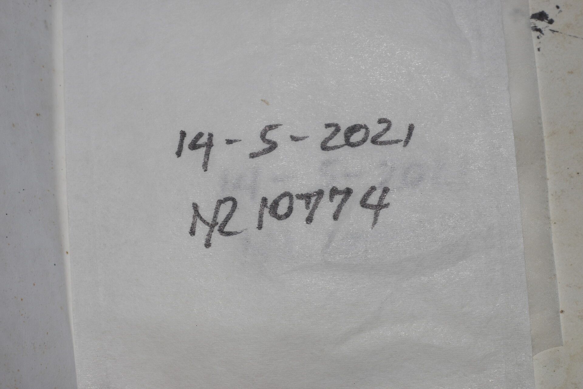 Dichapetalum morenoi other