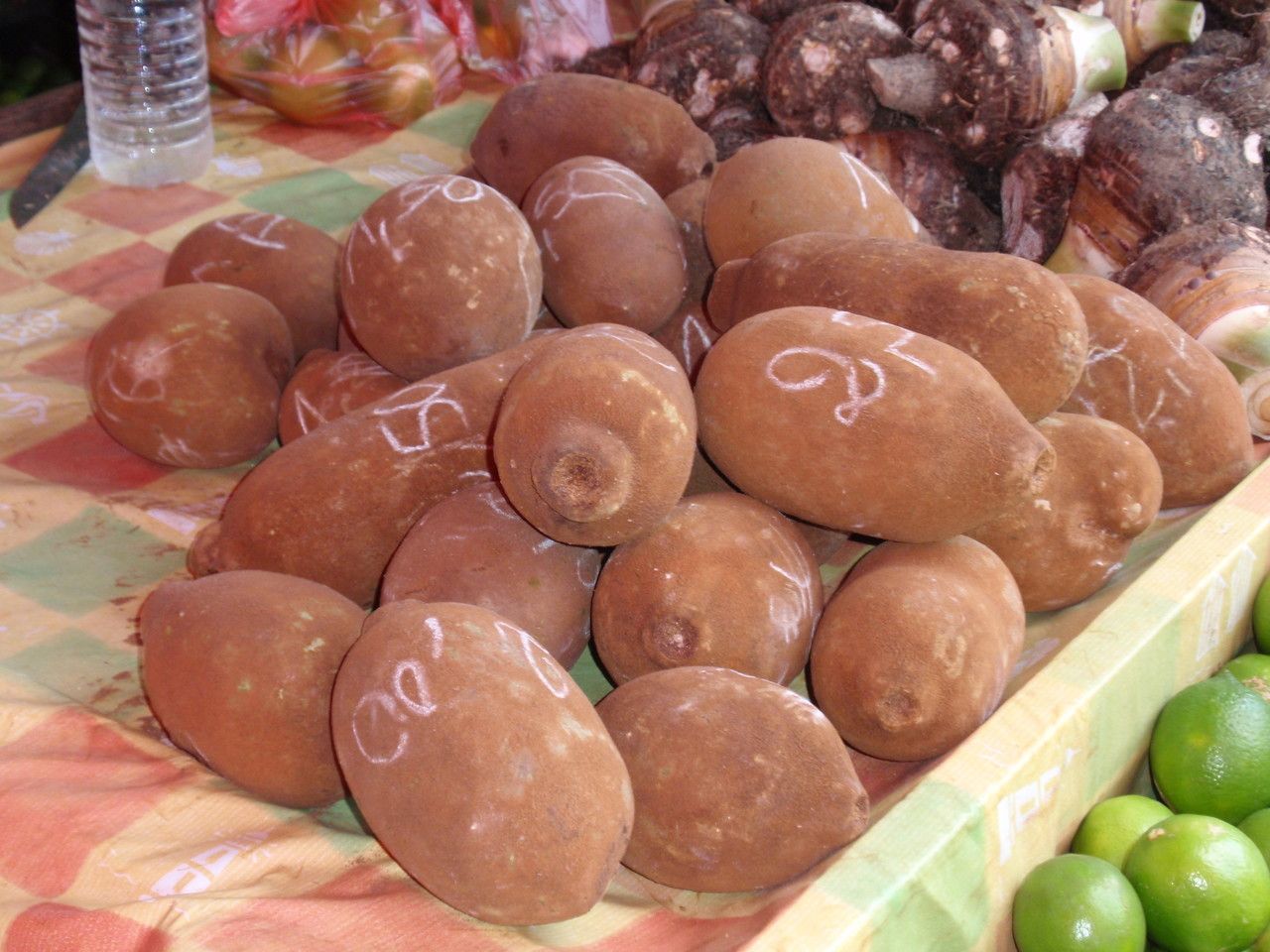 Theobroma grandiflorum fruit