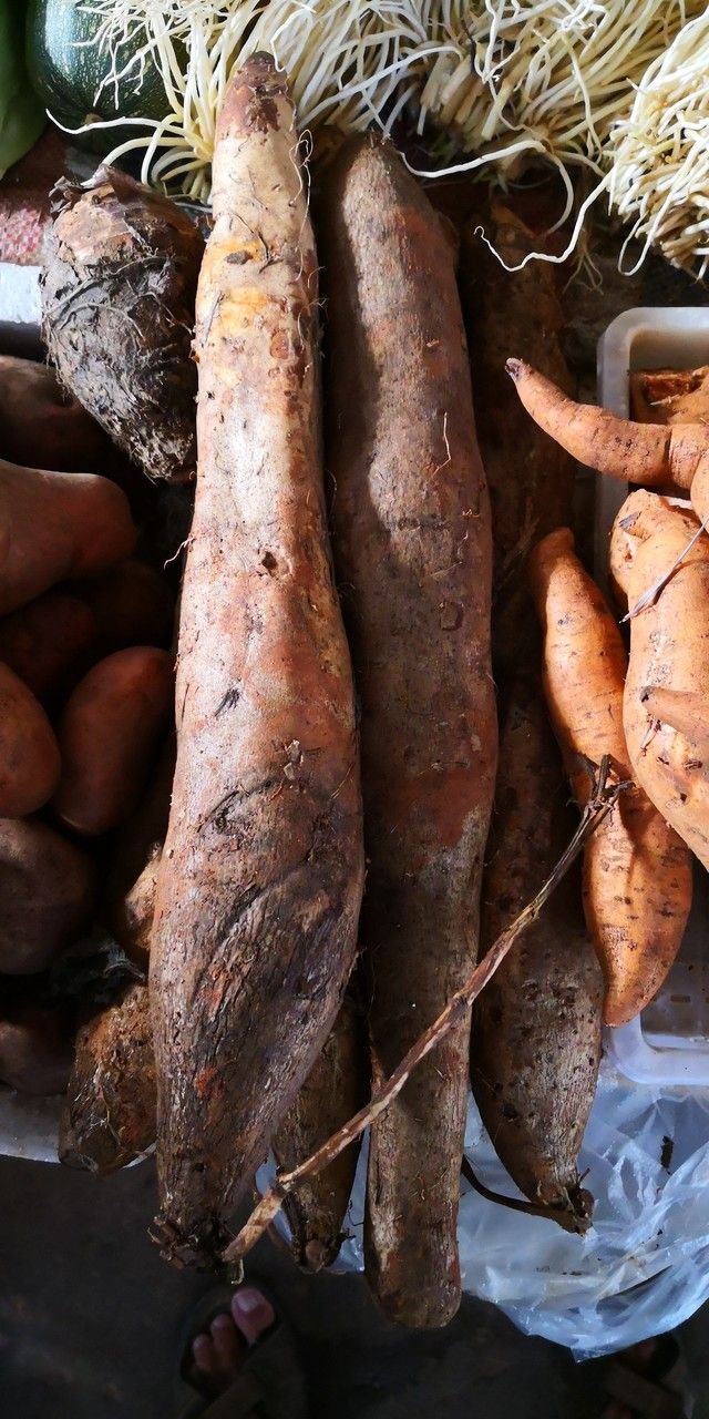 Dioscorea alata fruit