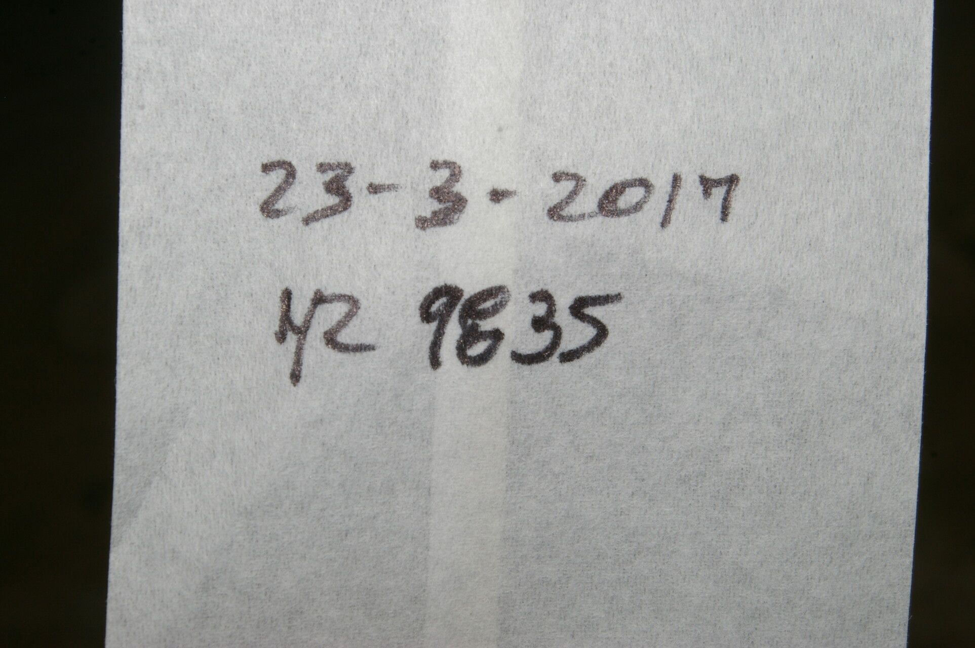 Banisteriopsis elegans other