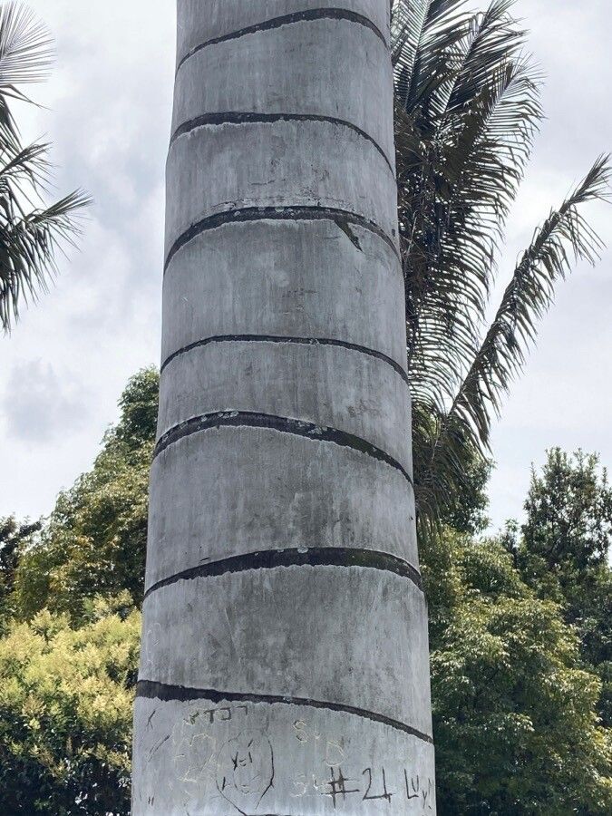 Ceroxylon quindiuense bark