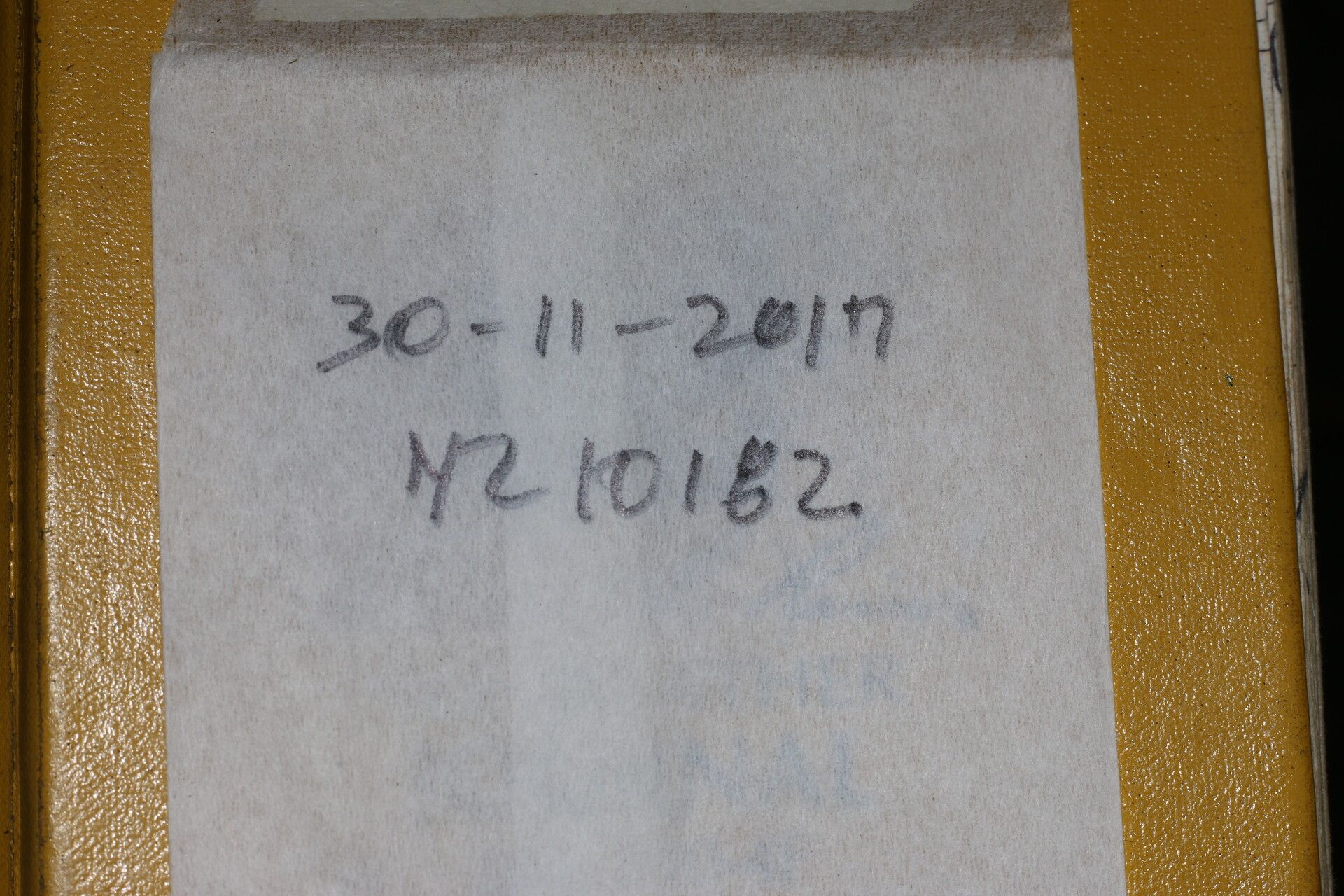 Celastrus vulcanicola other