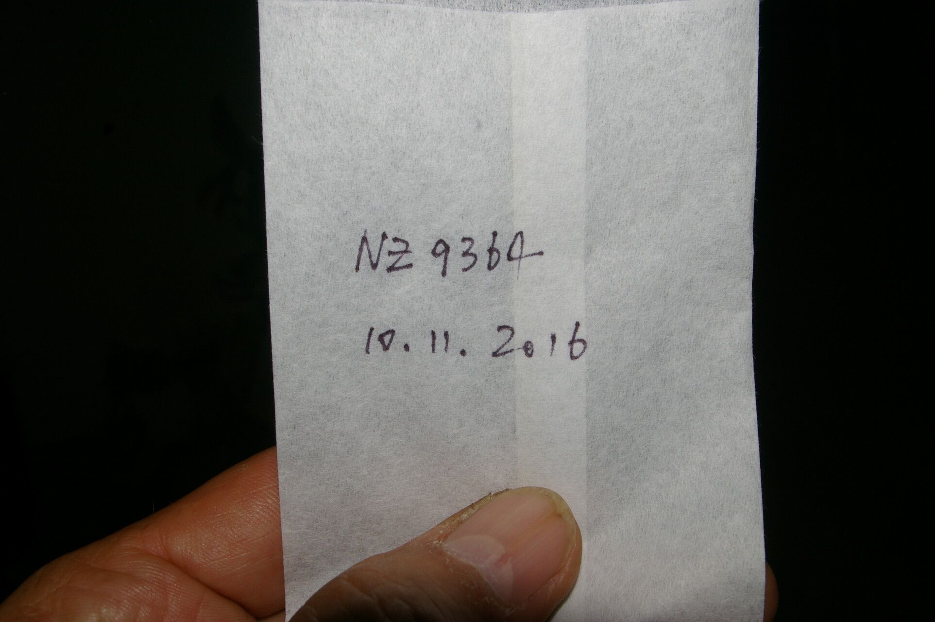 Aristolochia tonduzii other