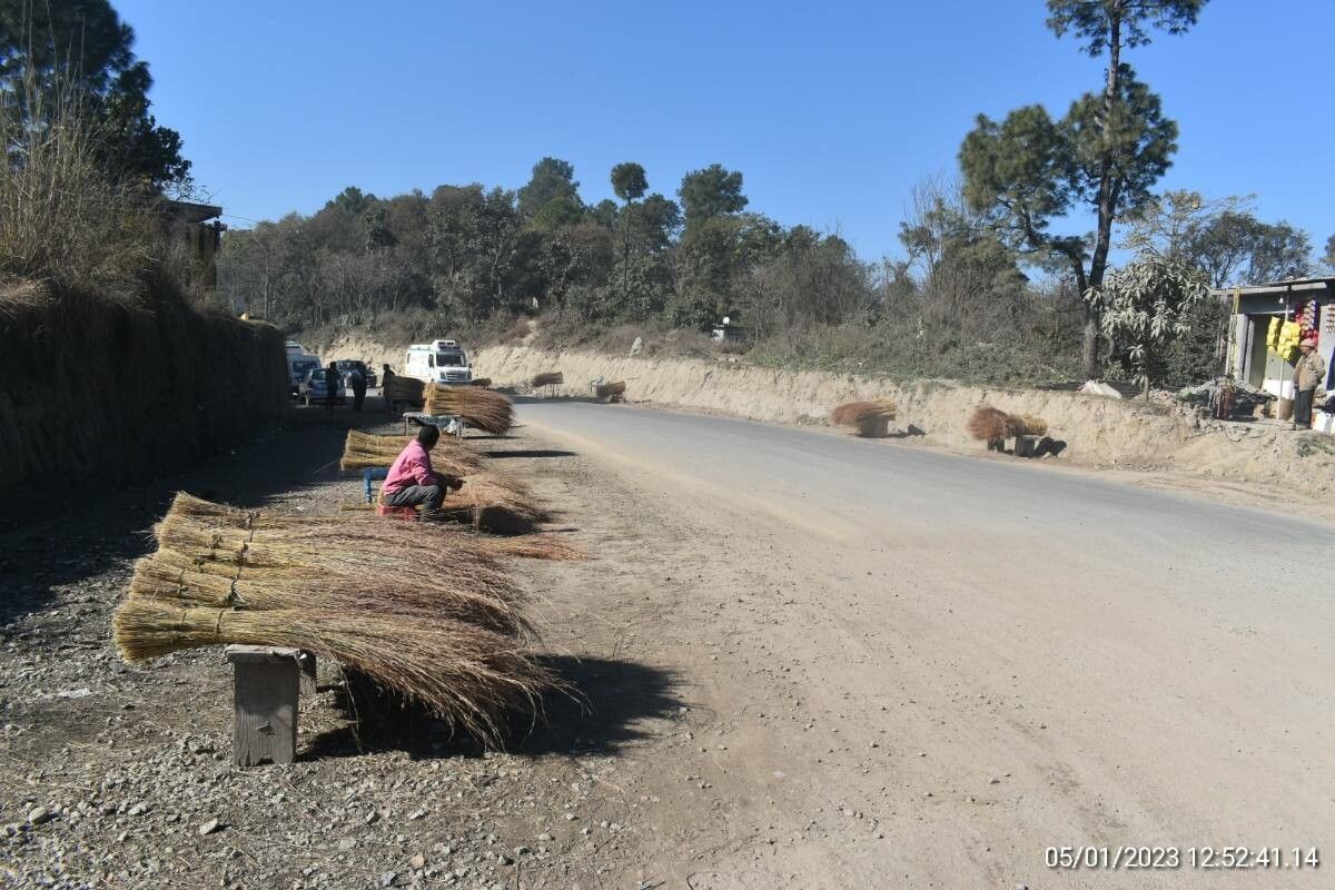 Themeda anathera — related species from the same genus