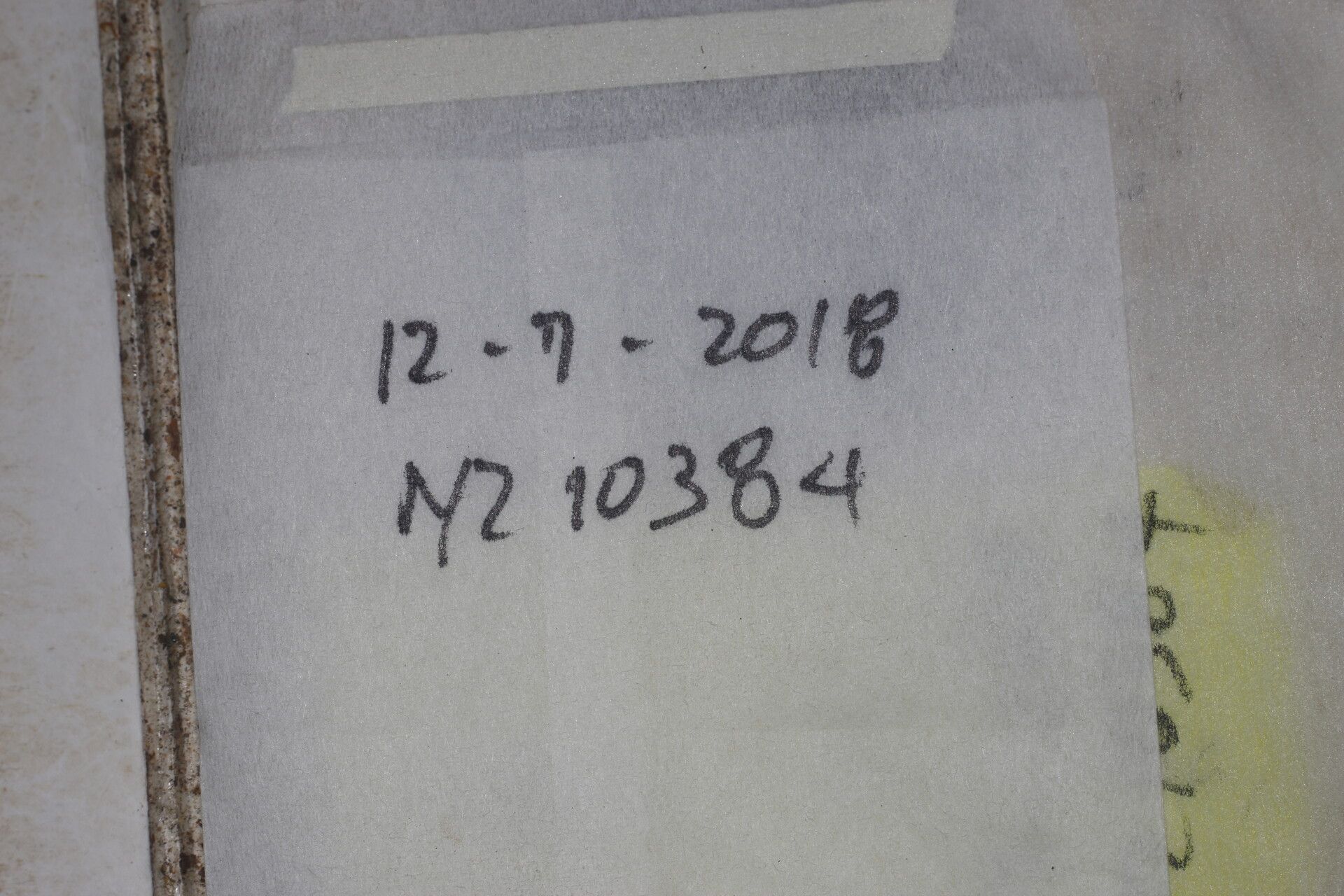 Moquilea kallunkiae other