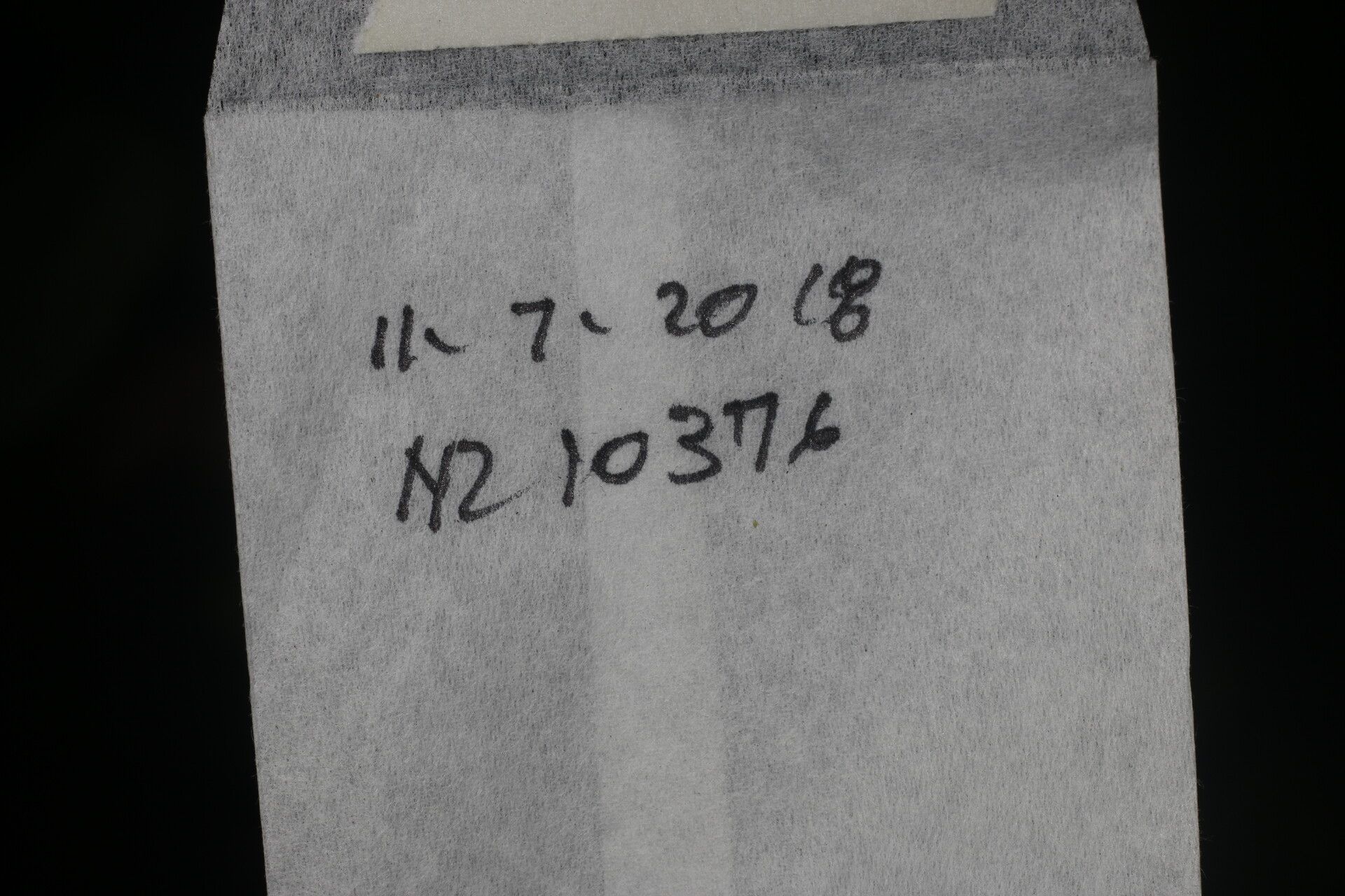 Inga litoralis other