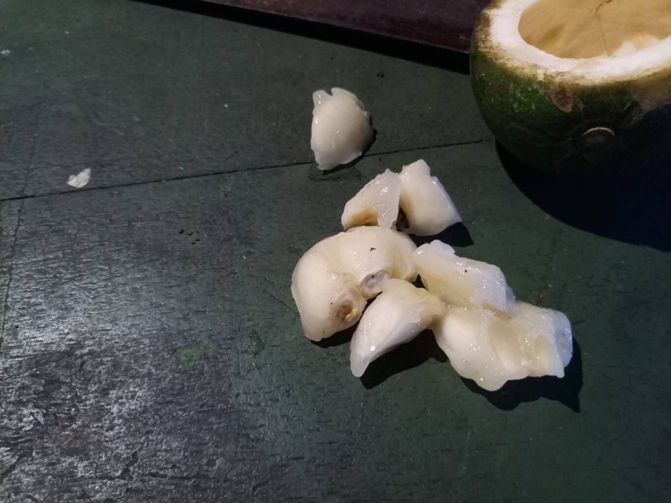 Casearia combaymensis fruit