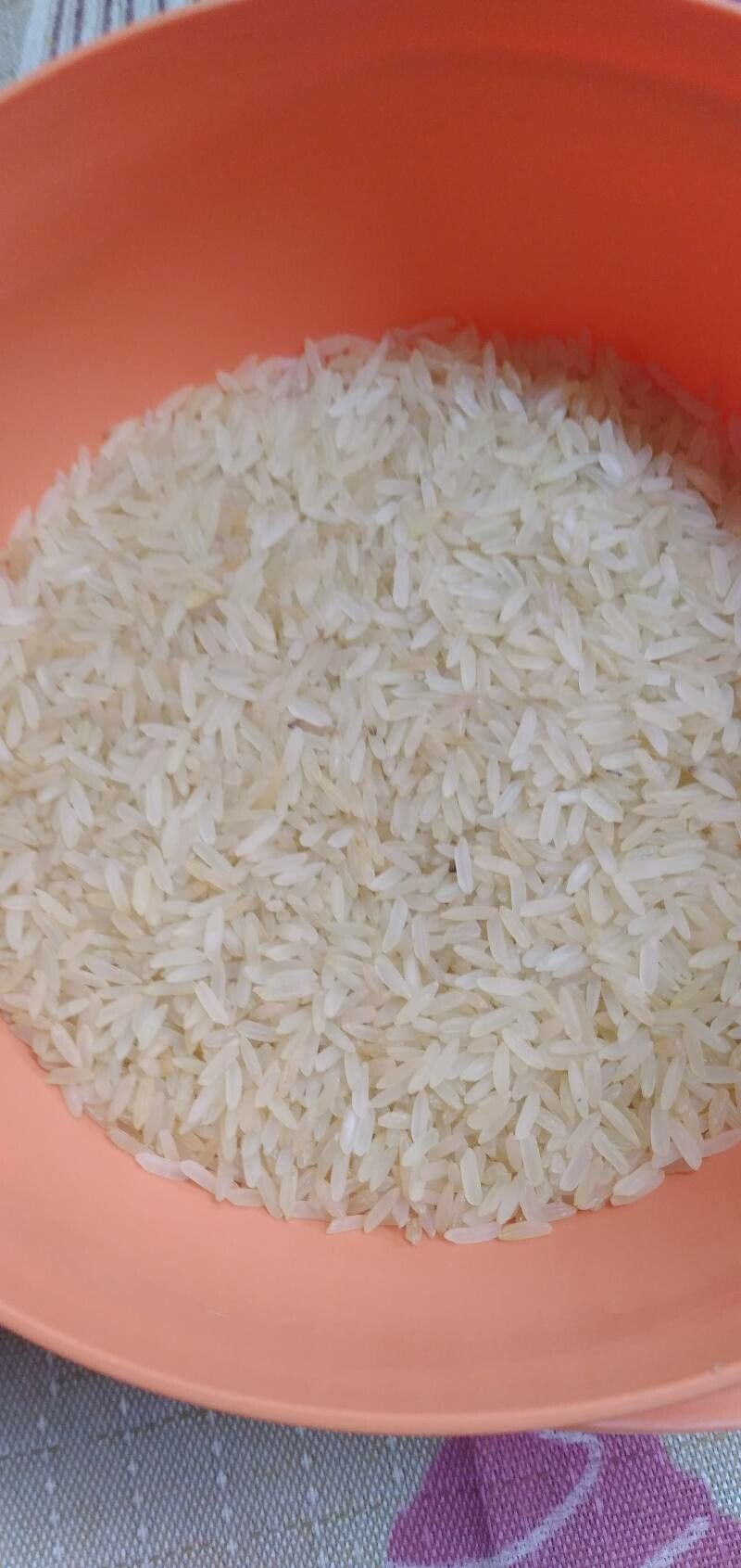 Oryza glaberrima fruit