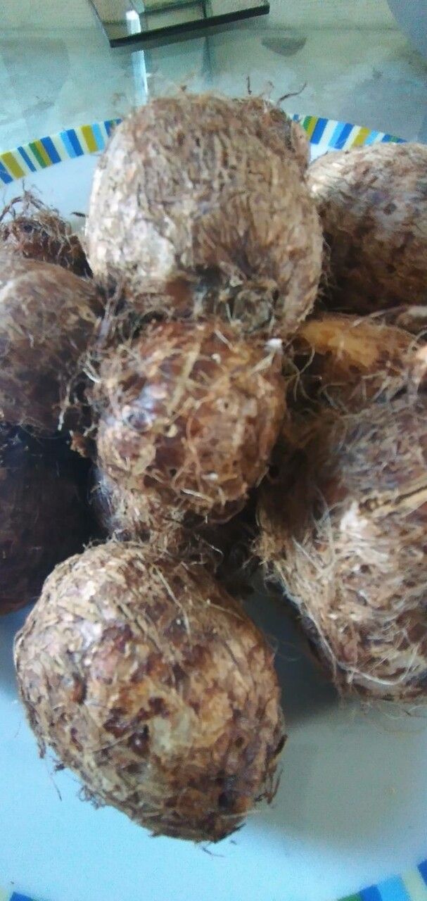 Dioscorea esculenta fruit