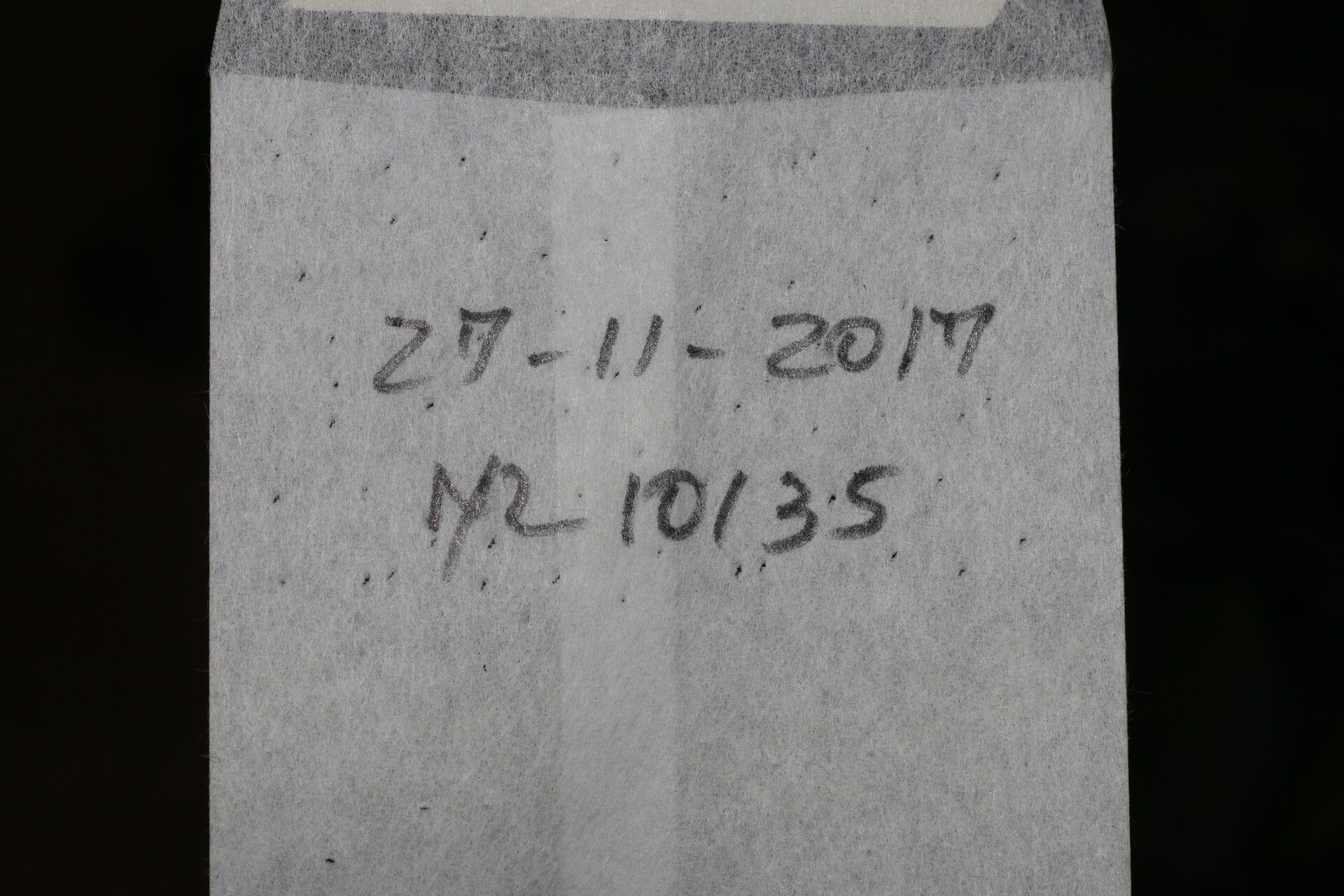 Drypetes brownii other