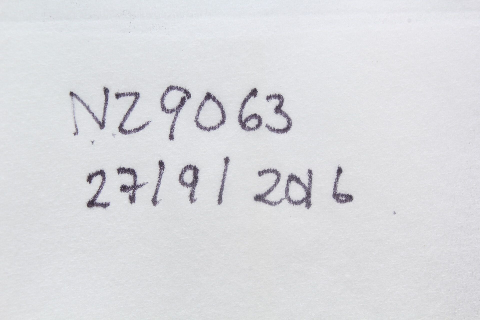 Pontederia paradoxa fruit