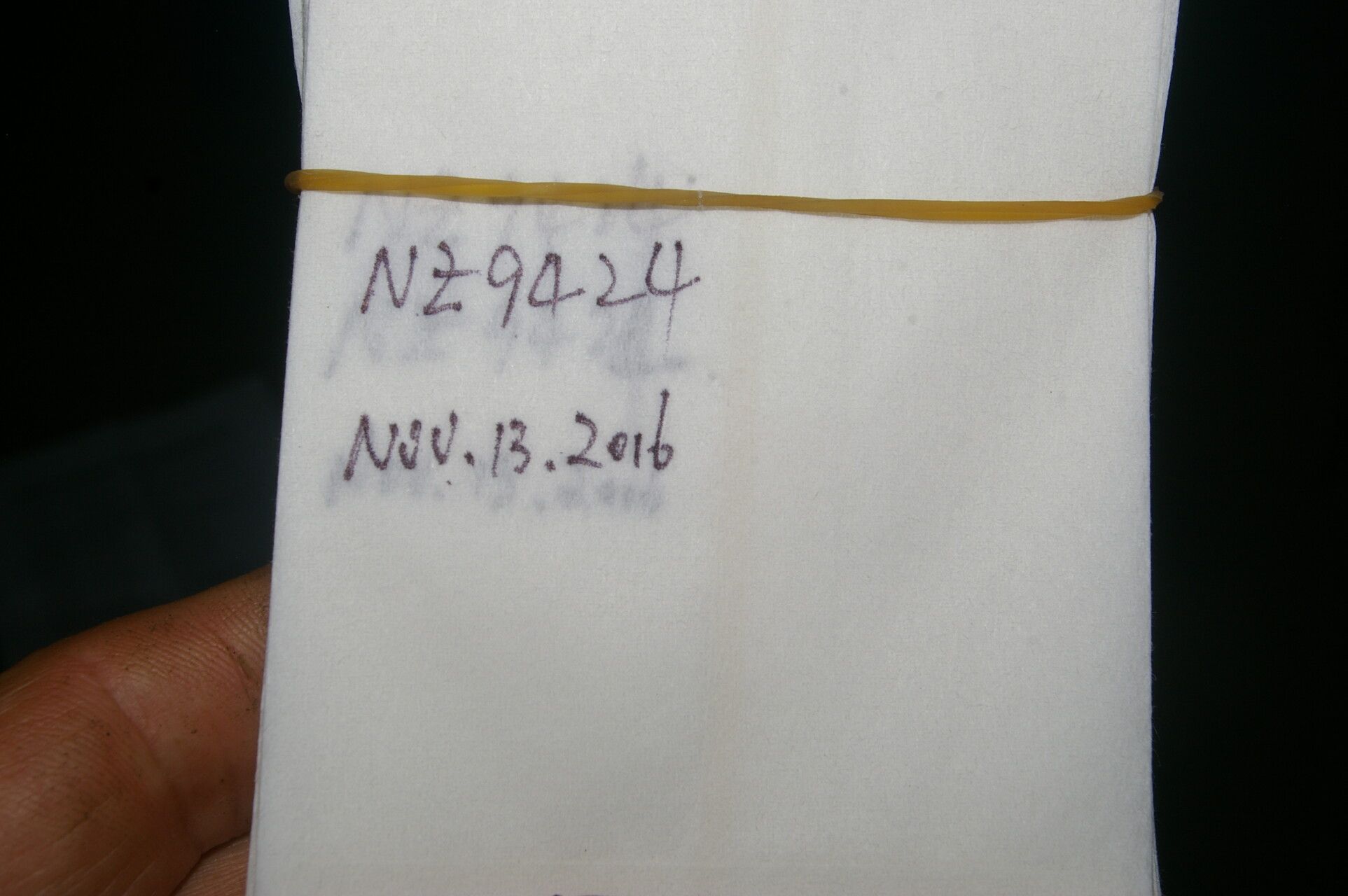 Cynometra retusa fruit