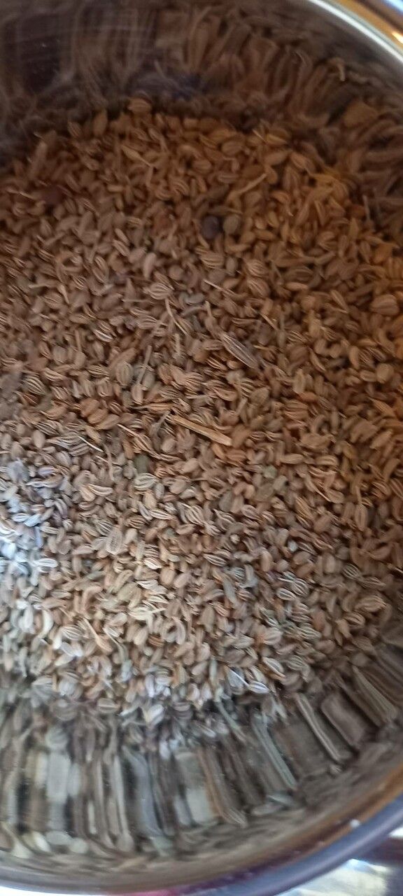 Trachyspermum ammi fruit