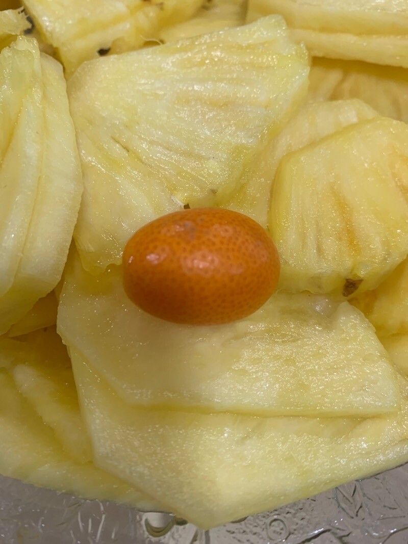 Euphorbia parryi — houseplant care guide