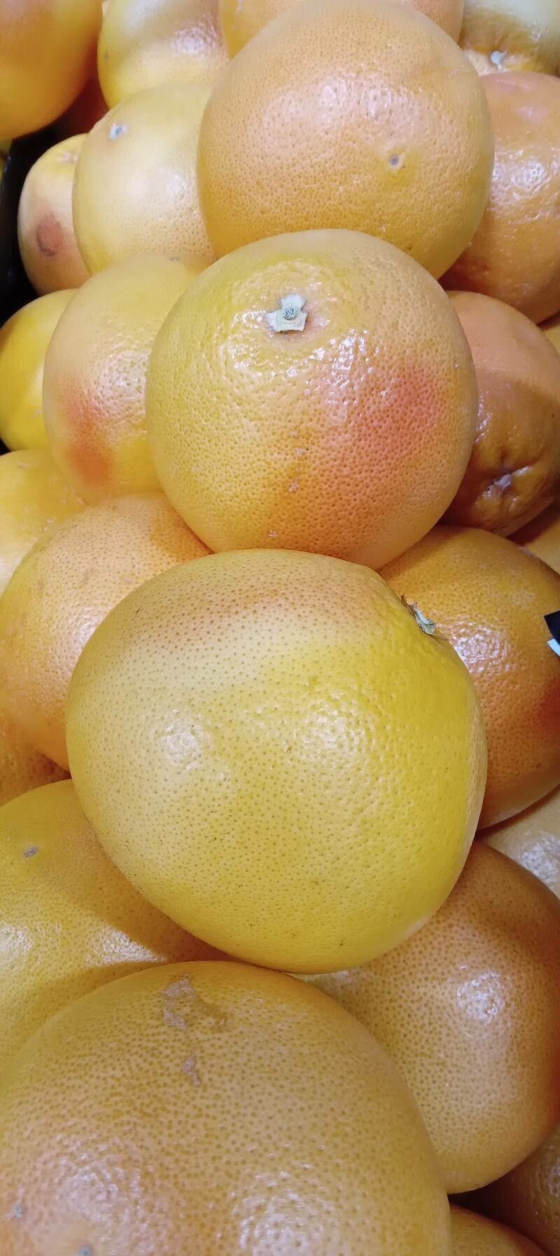 Citrus paradisi fruit