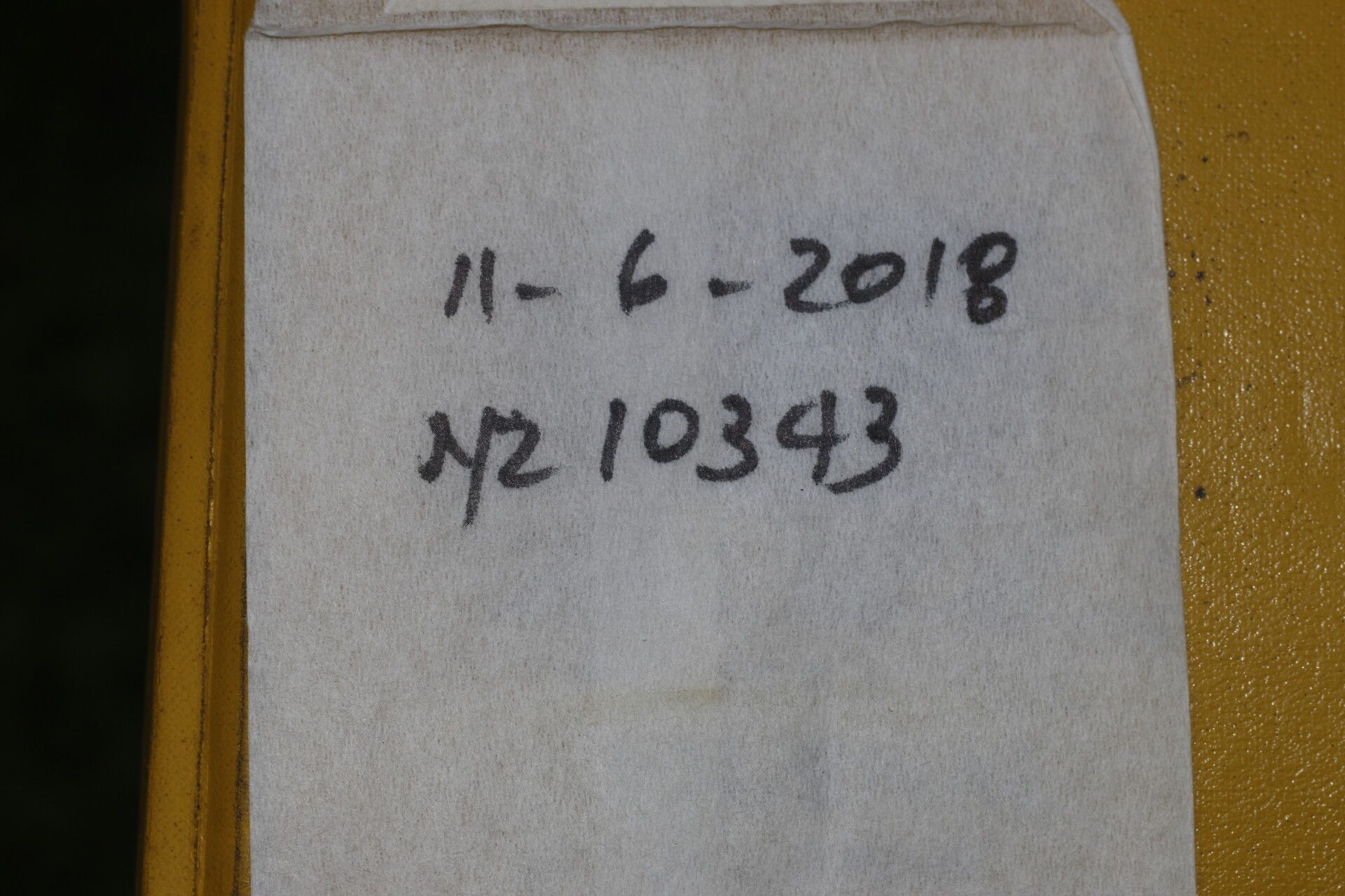 Piper yucatanense other