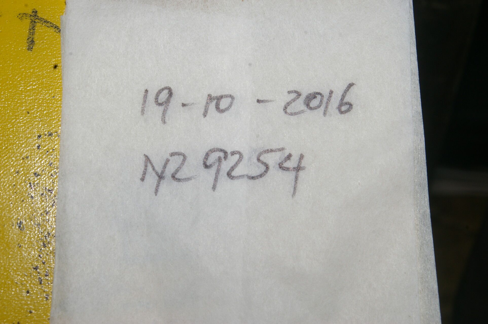 Ocotea helicterifolia other