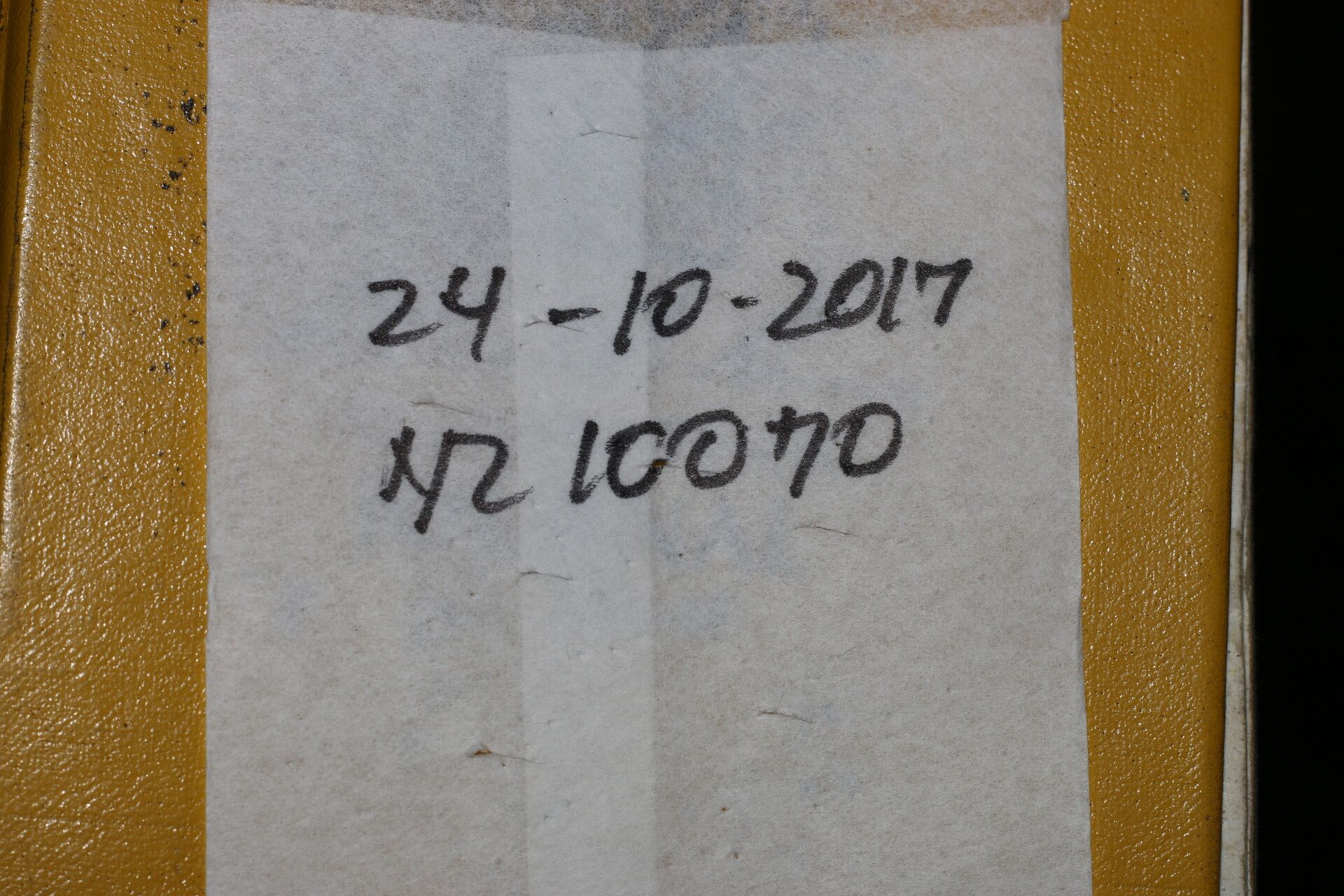 Hirtella trichotoma other