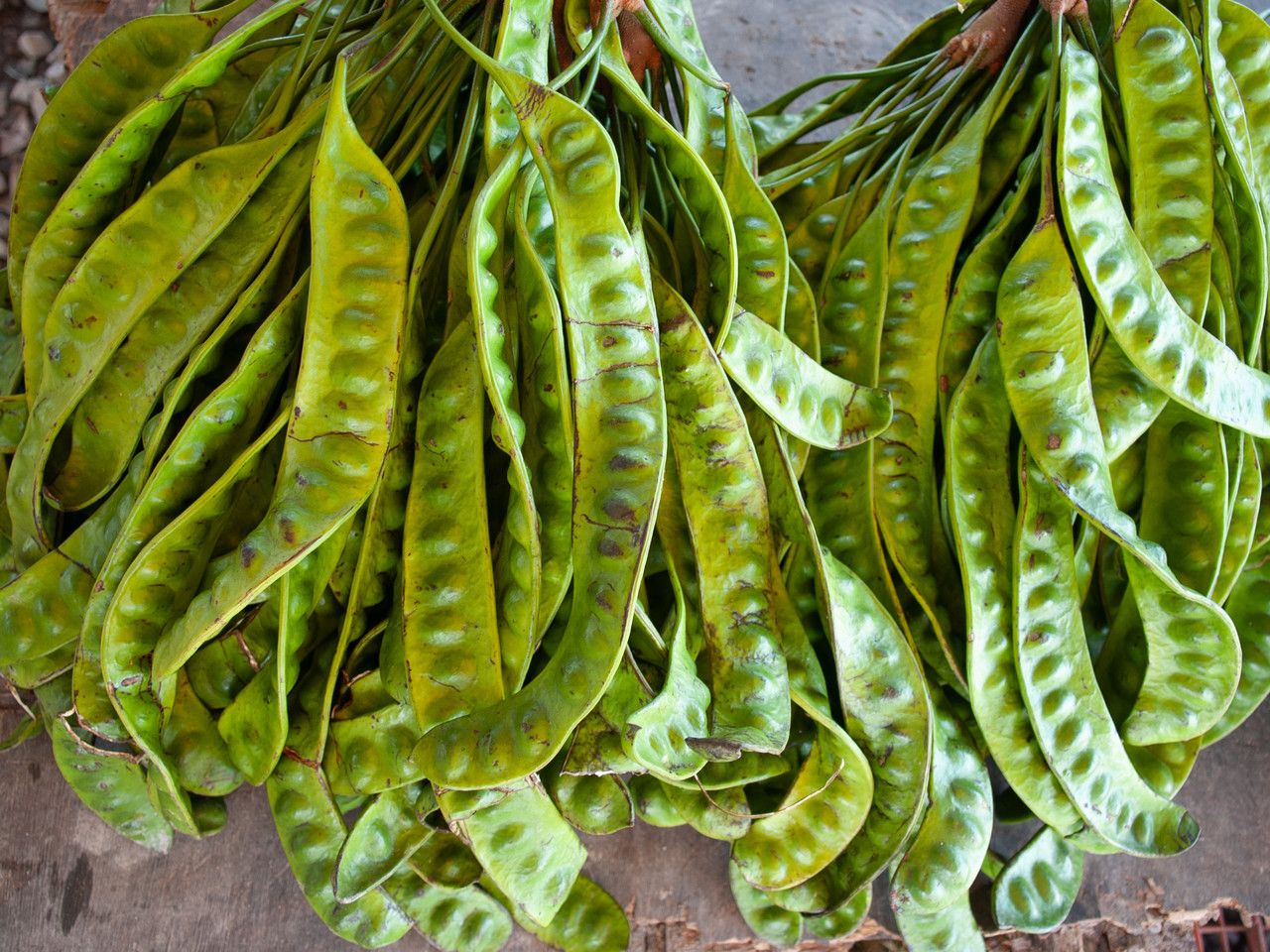 Parkia speciosa fruit