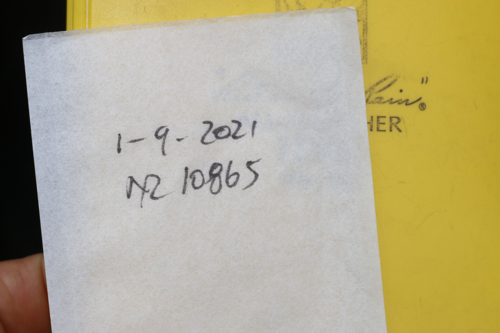 Clematis guadeloupae other