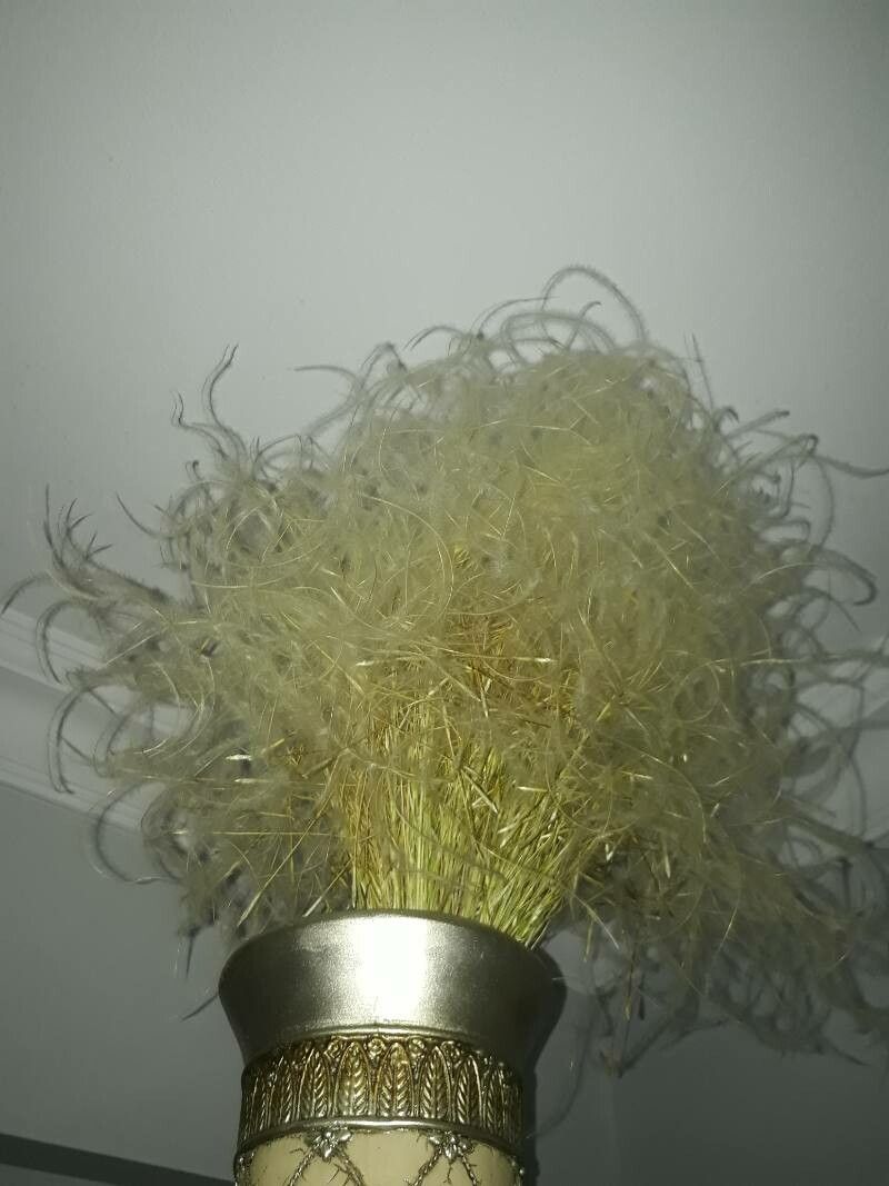 Ruppia cirrhosa flower