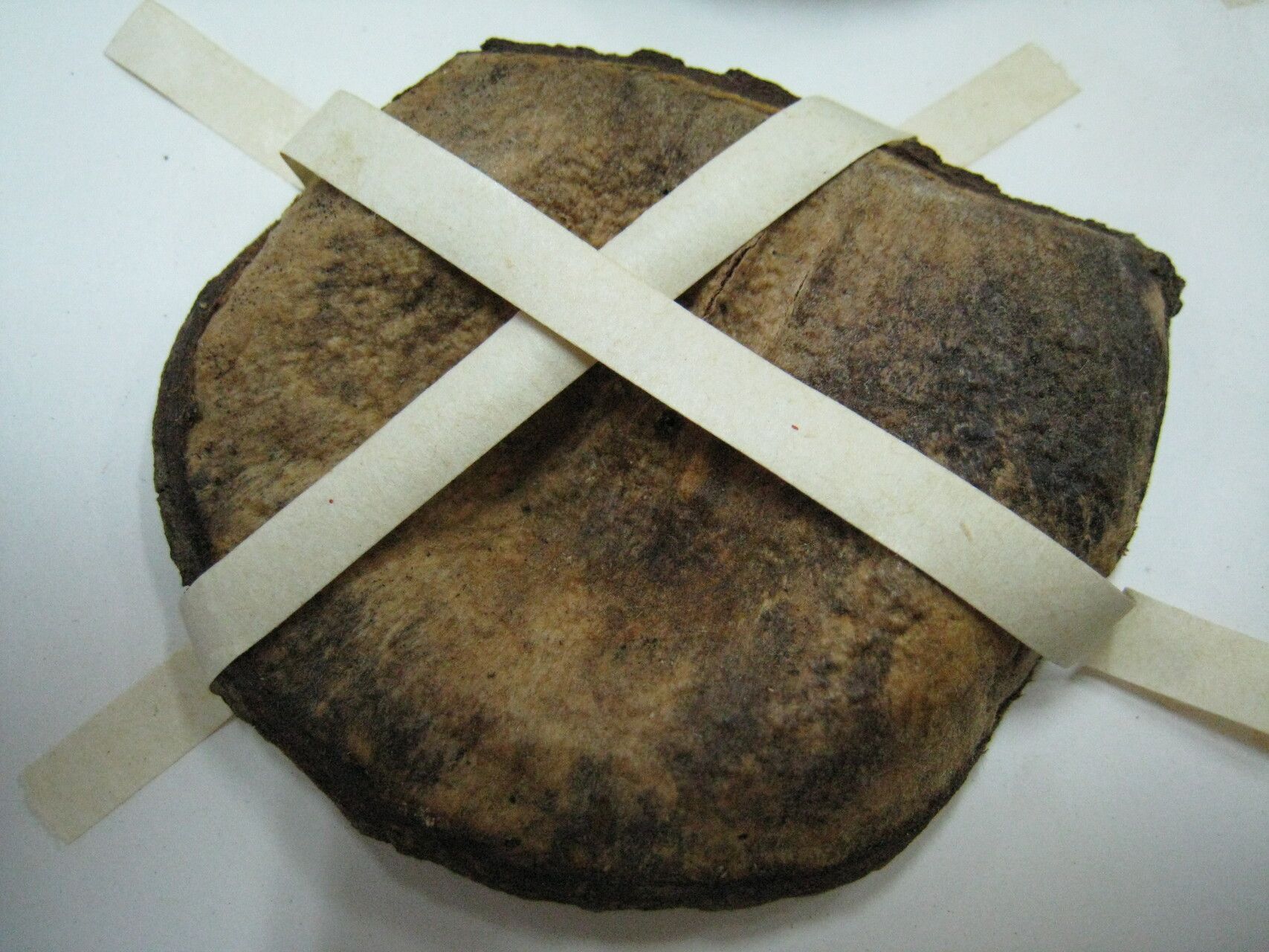 Aspidosperma oblongum other