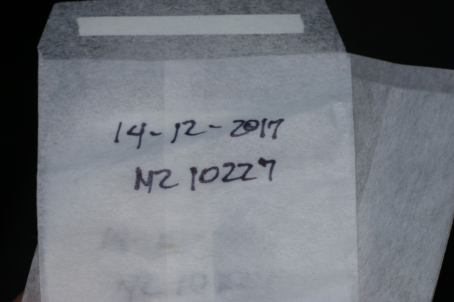 Zanthoxylum limoncello other