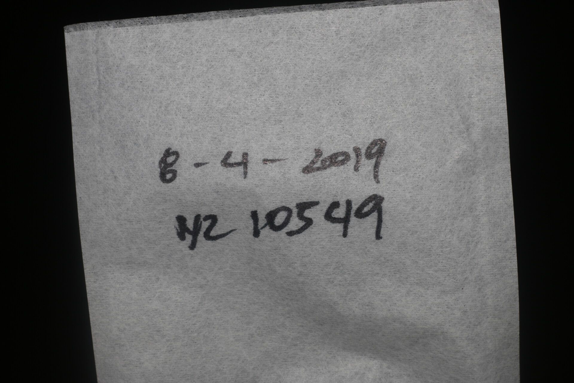 Nectandra belizensis other