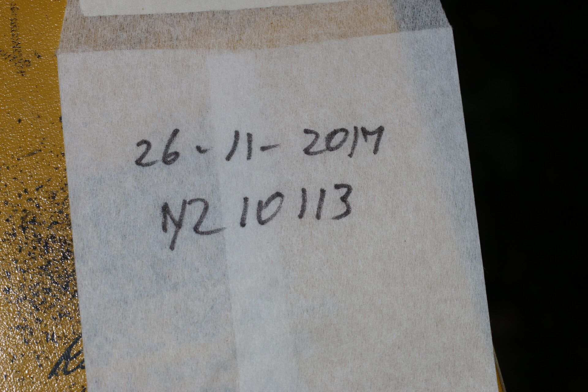 Hybanthus guanacastensis other