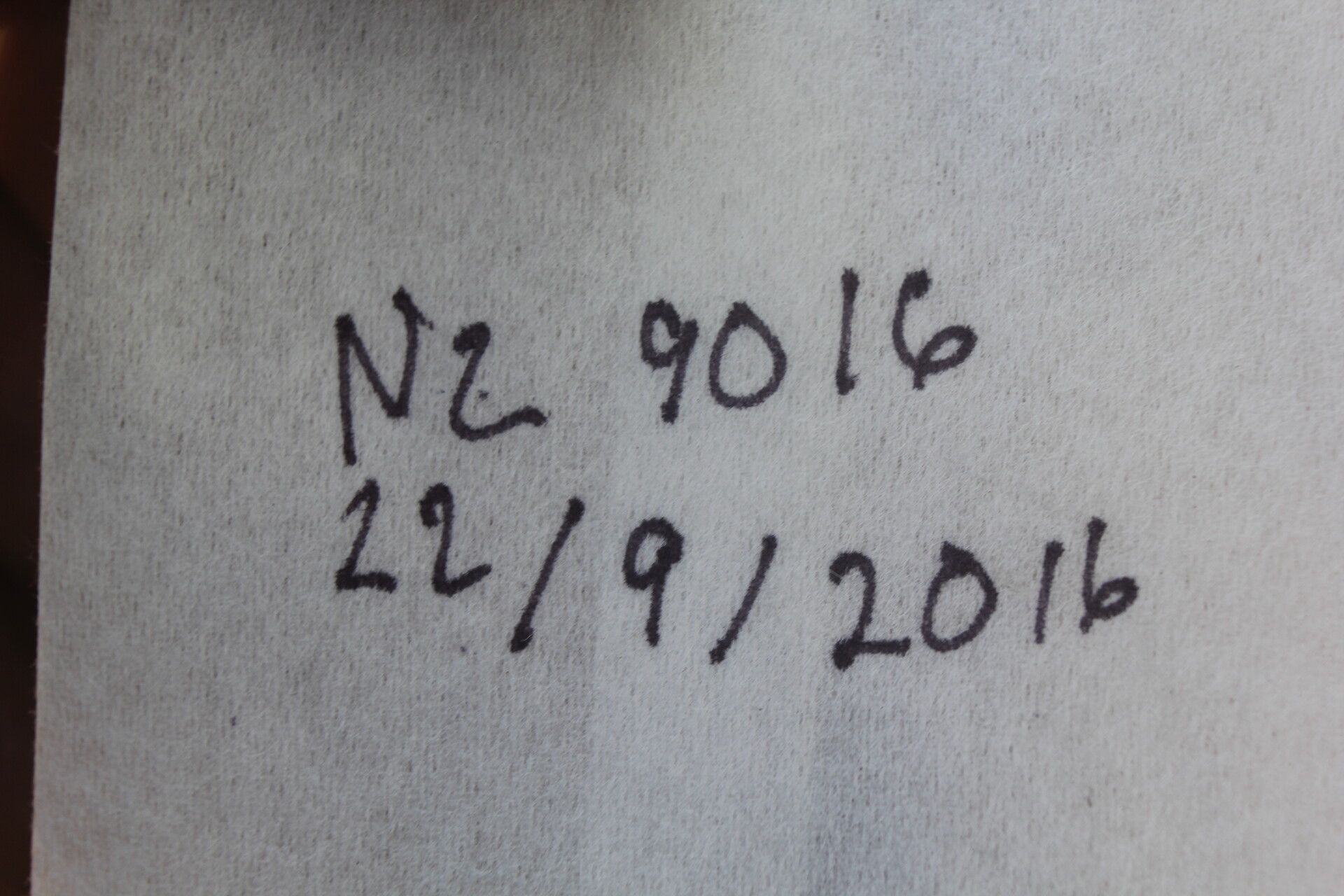 Schoenocaulon officinale fruit