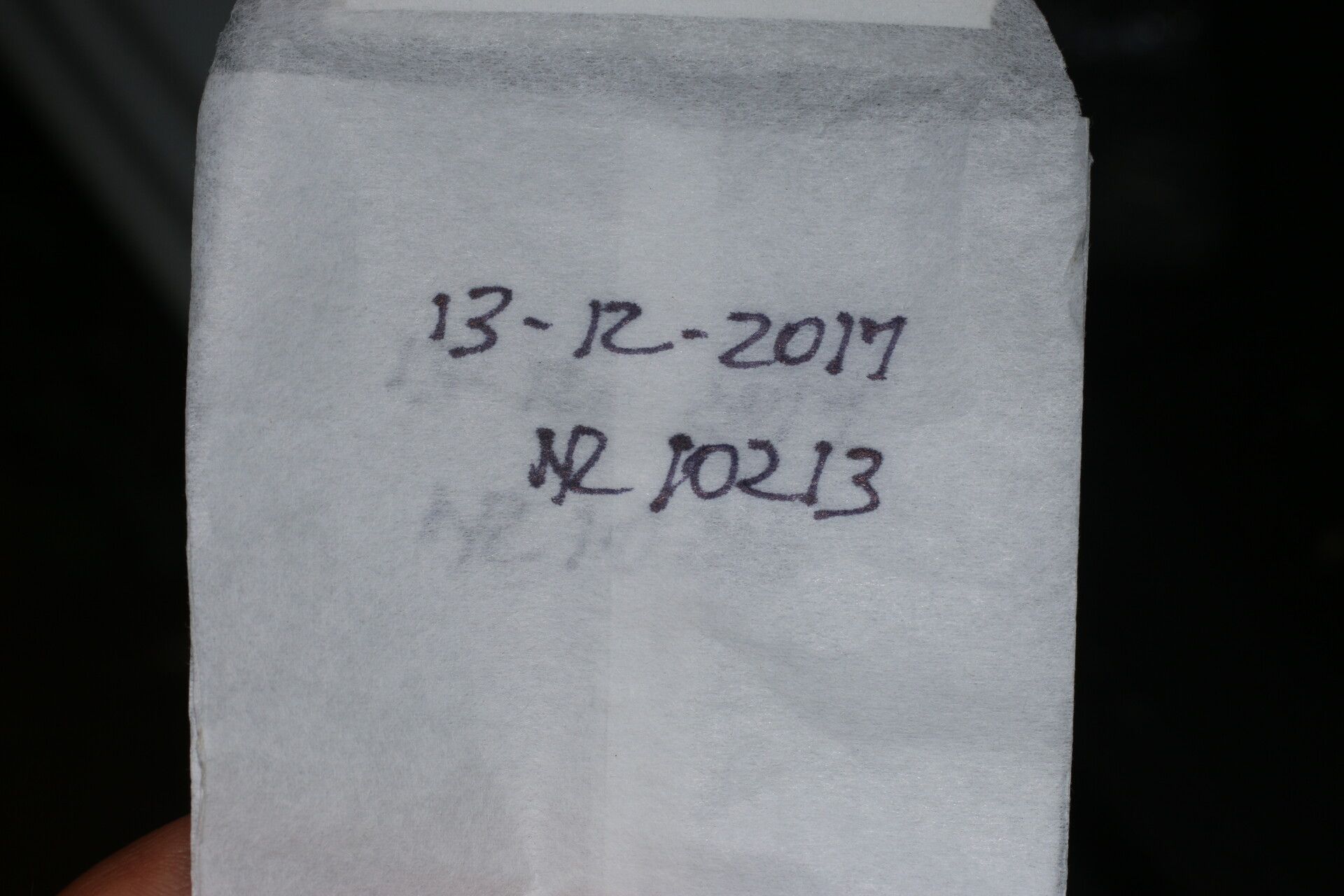 Verbesina pallens other