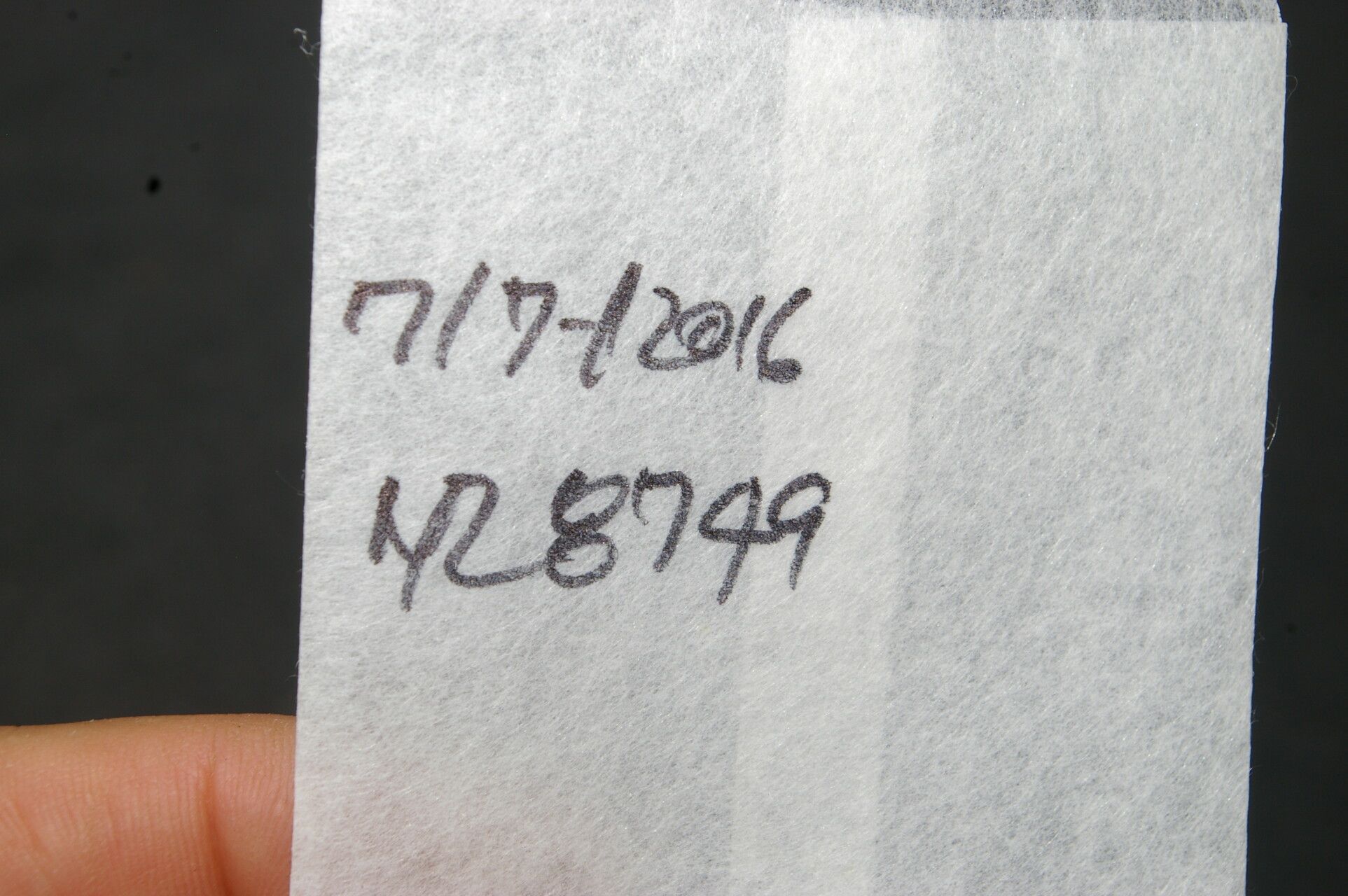 Cleome guianensis other