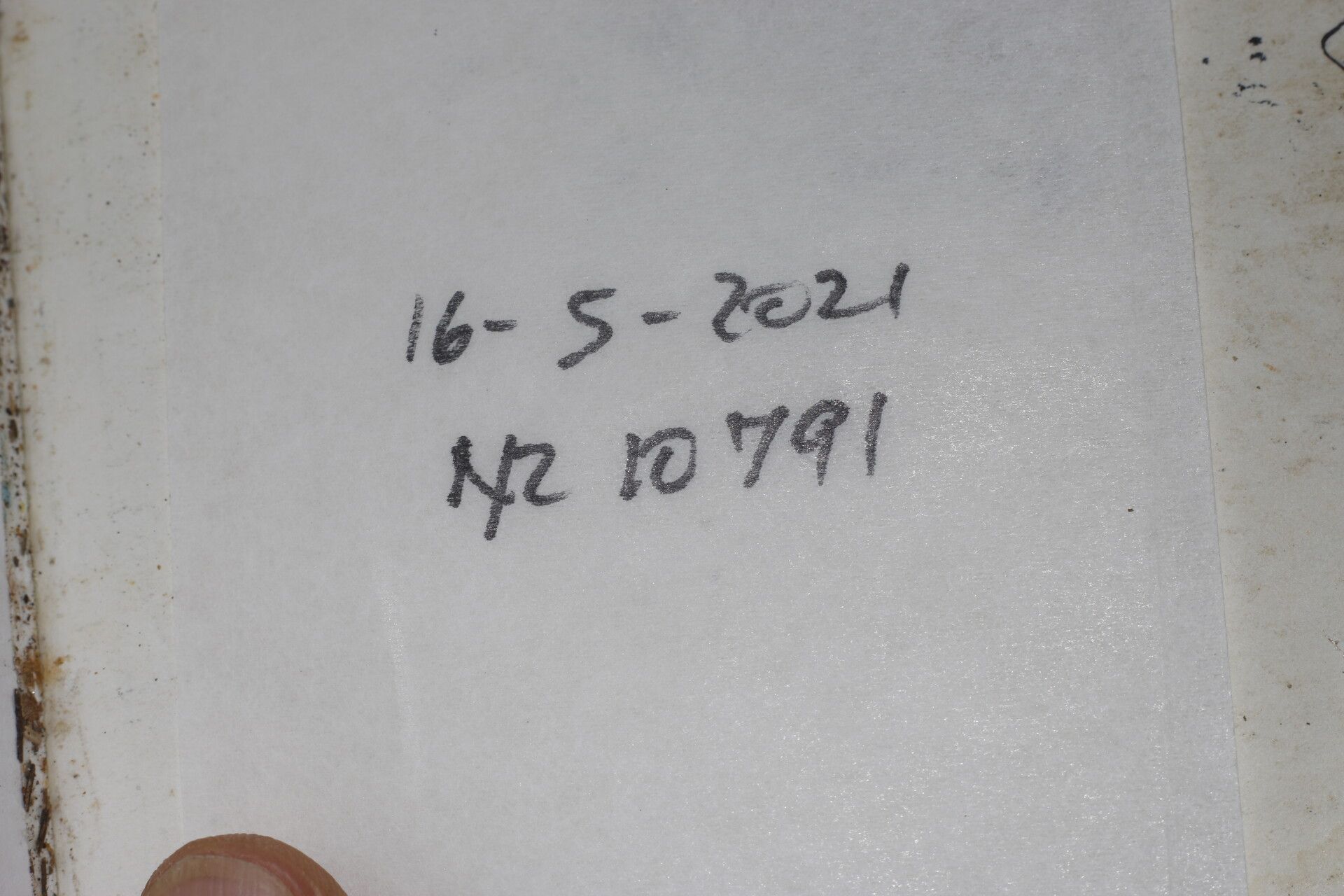 Aspidosperma megalocarpon other