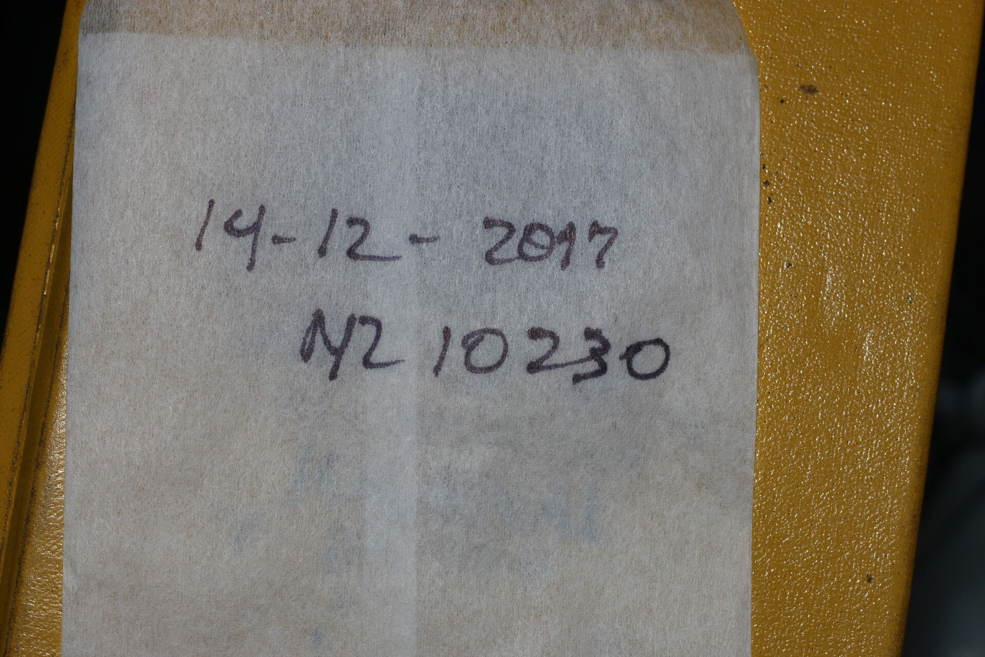 Pisonia macranthocarpa other