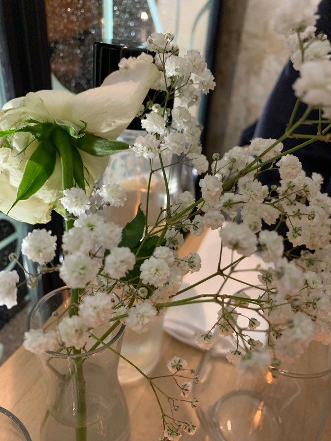 Gypsophila paniculata flower
