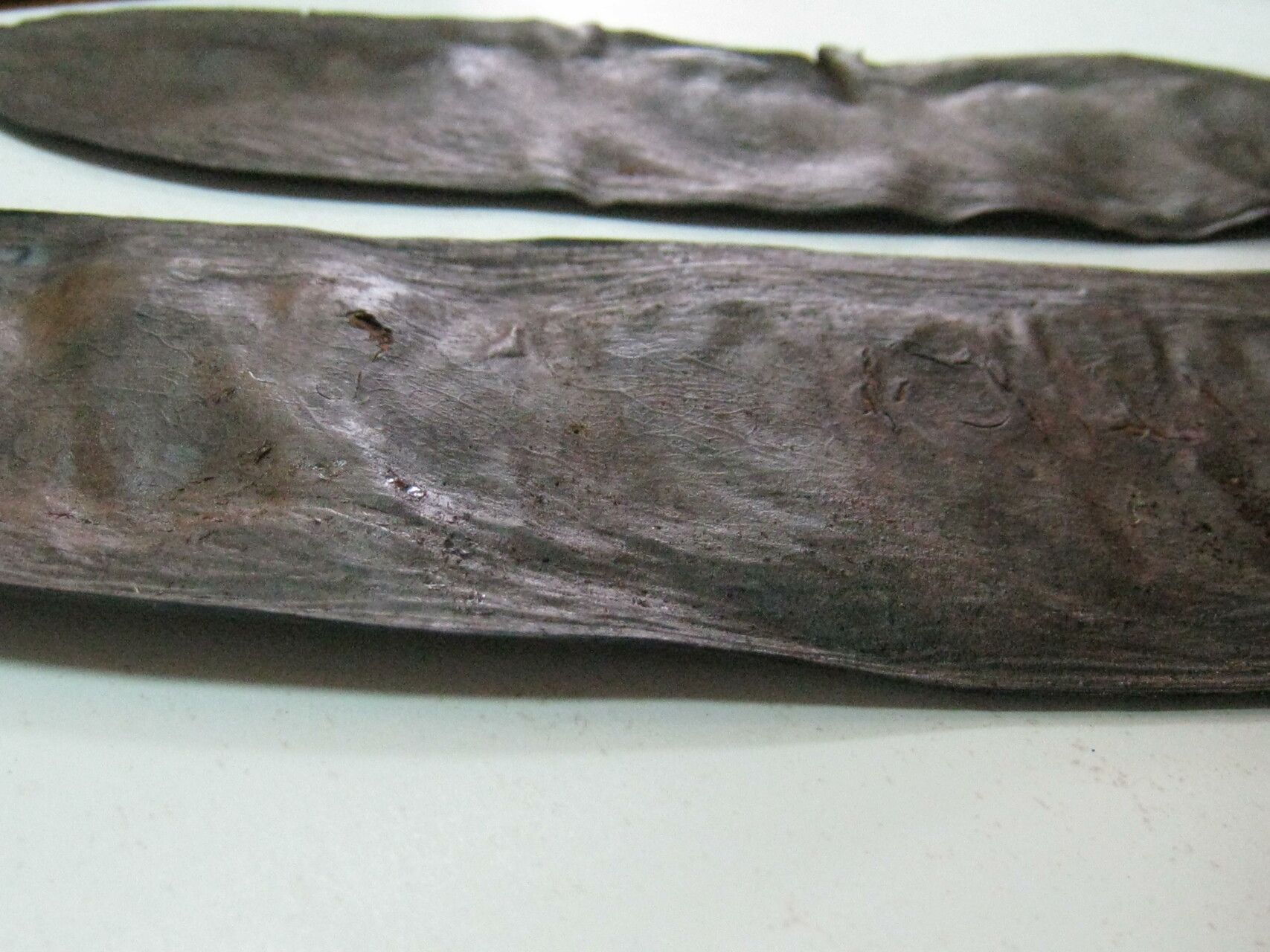 Dinizia excelsa other