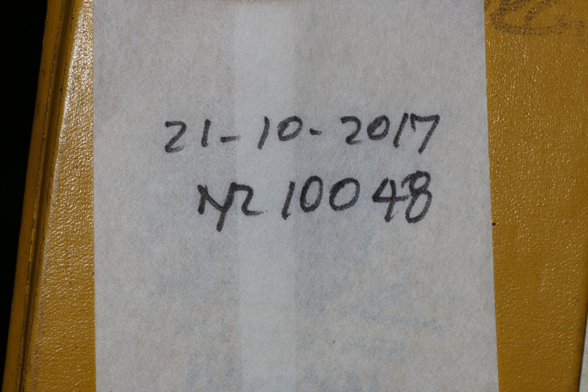 Licaria misantlae other