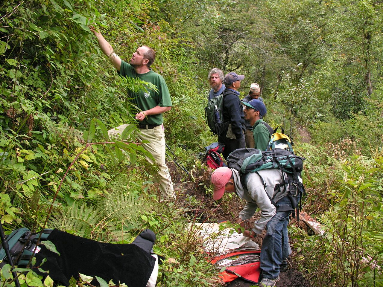 Neillia rubiflora other