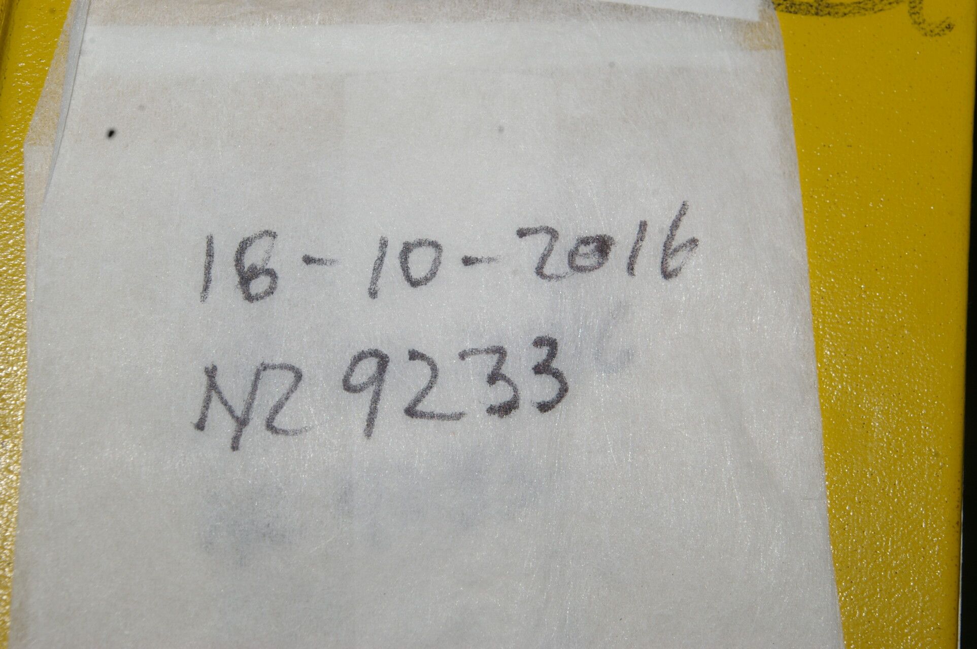 Licaria misantlae other