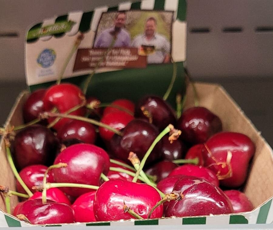 Eugenia involucrata fruit