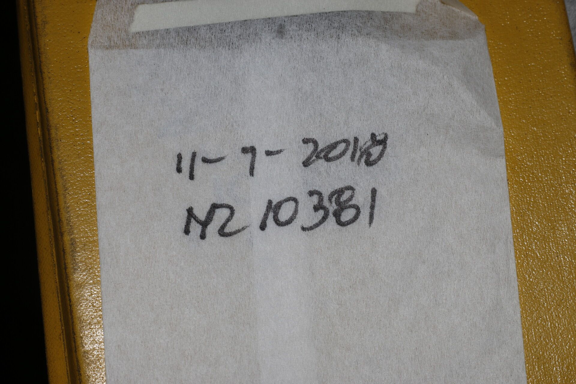 Miconia hondurensis other