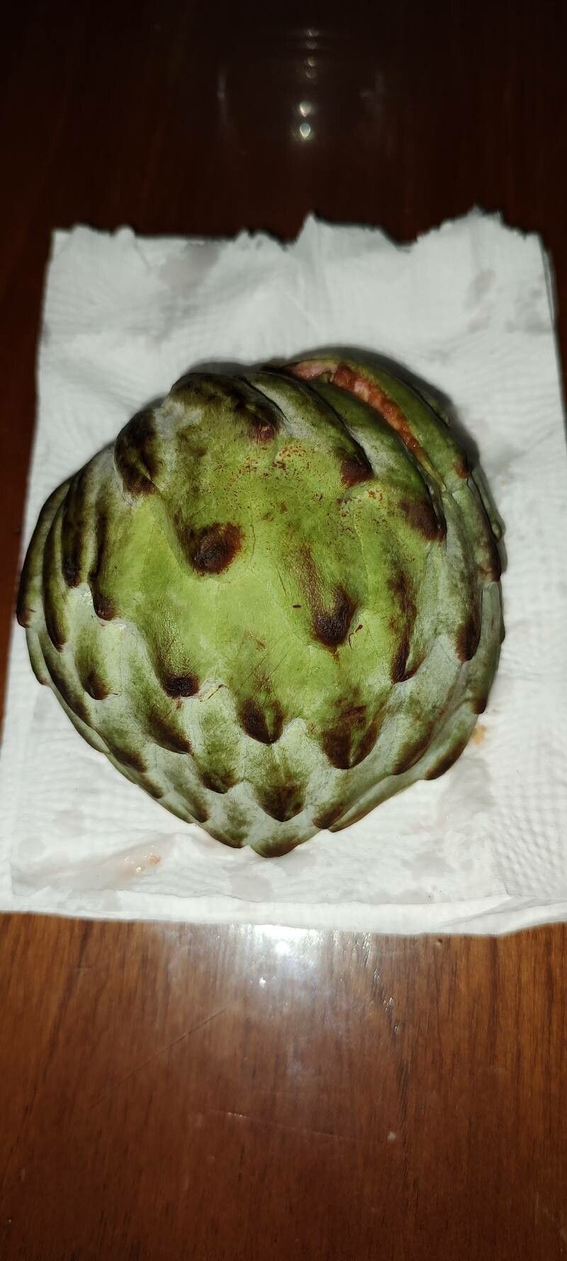 Annona macroprophyllata — search result for 'Annona'